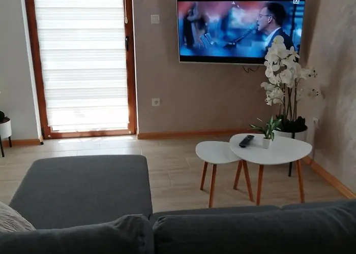 Sofija * Veliko Gradište